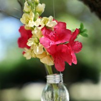 katelynjamesblog.com